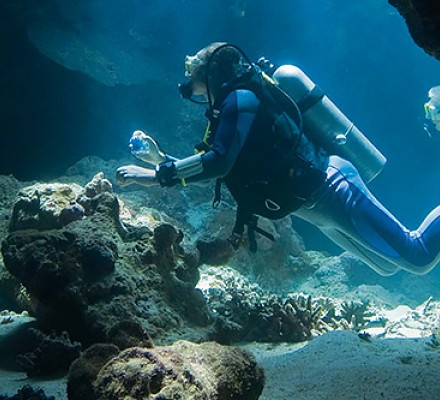 CAVE DIVING