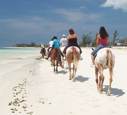 HORSEBACK RIDING